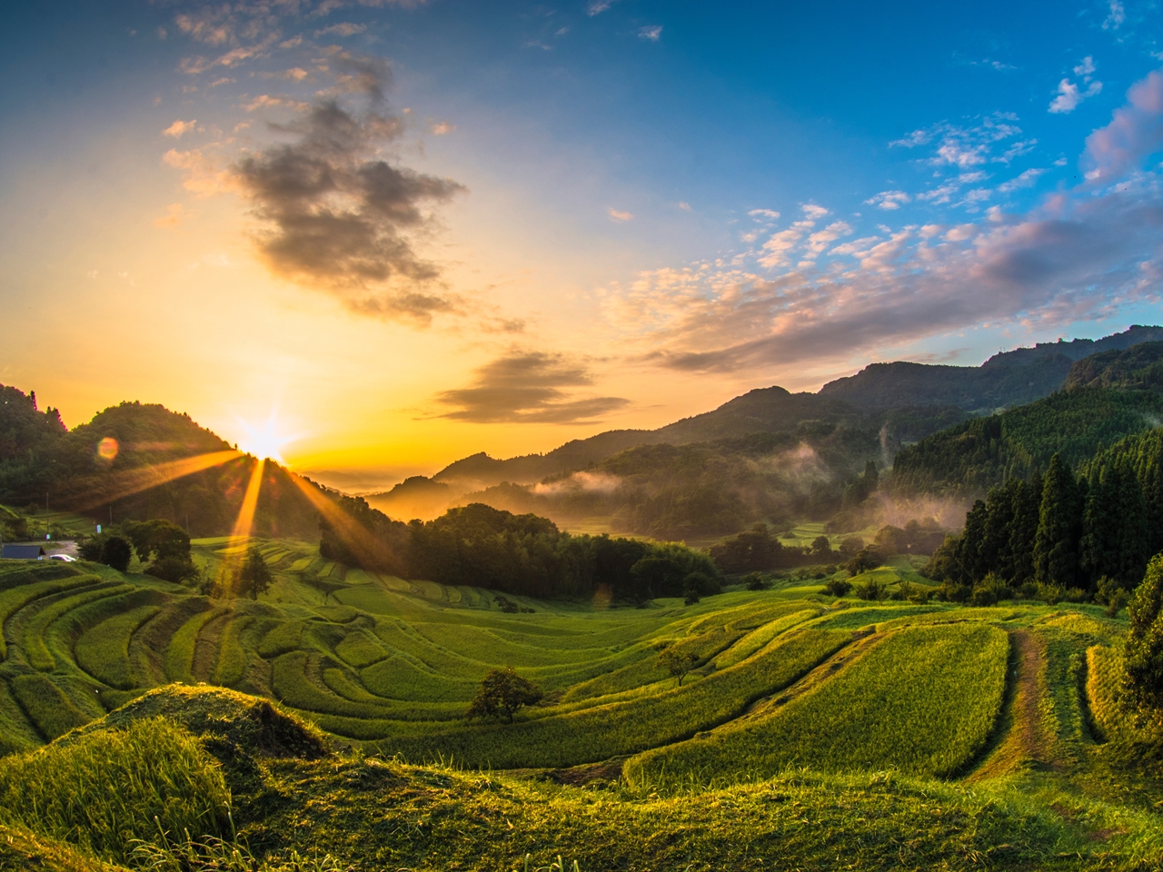 大山千枚田