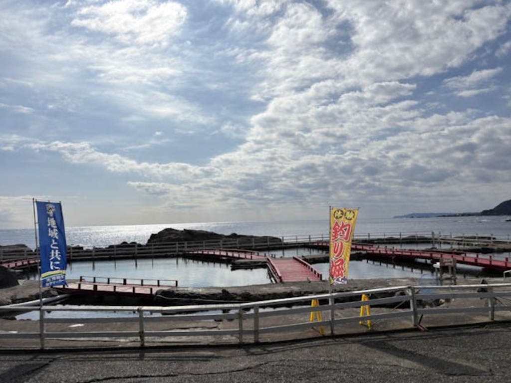 太海フラワー磯釣りセンター